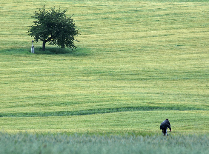 TELE - krajina II.