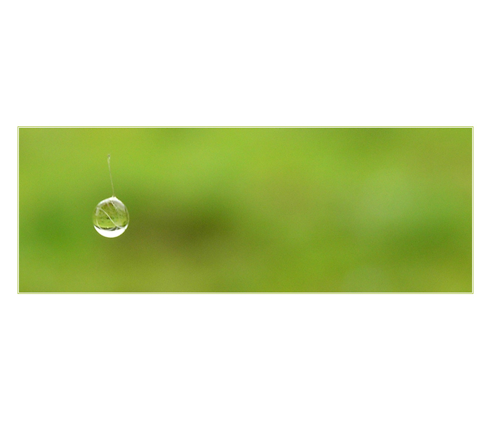 = Levitation =