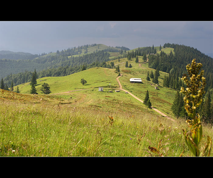 Průsmyk Stanisoara - ROMANIA