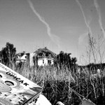 ztracený opičák I.