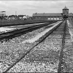 Auschwitz - Birkenau
