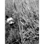 <b>...nemám záujem!</b>