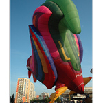 <B><U> ... kohút ...</B></U>