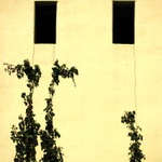 Vzhůru! Ke světlu?