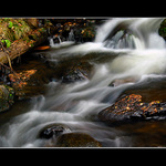 Ještě jednou Vydra...