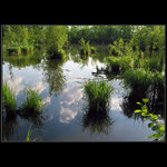 Romantické zákoutí