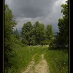 ...cestou necestou...