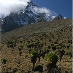 Mount Kenya