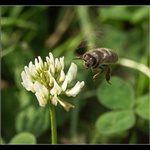 Už letííííím...