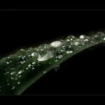 " Perly " - stačí je jen posbírat