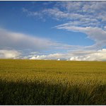 Okolí Hodkovic n.M.