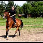 Vzrušení při tréninku...