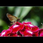 <b>Ten Redbull je fakt božskej