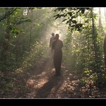 Cestička ke světlu.