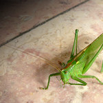 What are you watching for?!?!