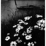 ♥ moje "smutná" krajina ♥