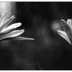 odpusť mi to, prosím..