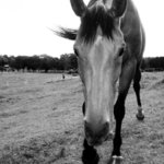 ťuk, ťuk je někdo doma?