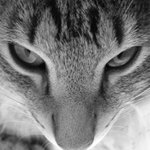 jestě jednou mnie zbudiš ... !