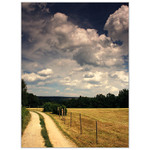 * Jihočeská krajina *