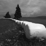 - balíci -