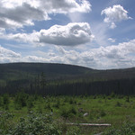 Šumava