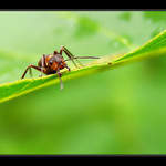 Hmm, tak tam nejdu...