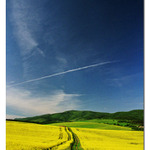 za Kocúrom (dedinka)