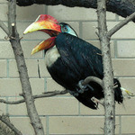 Pane doktore...........áááááááááá