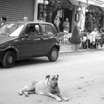 pohoda v Peschici