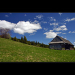 Koliba