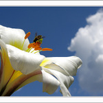 Mezipřistání povoleno...