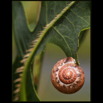 Odpočinek v trávě