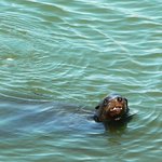 Plavu si ani nevím jak...