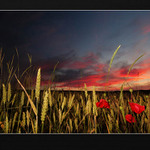 Rudá záře nad ...