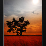 U paní čarodějnice