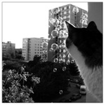 zázrak mezi paneláky