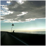 ++ ON THE ROAD ++ 1/8