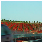 ++ ON THE ROAD ++ 3/8