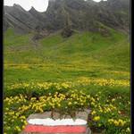 Nelze přehlédnout...