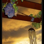 Jedna jihomoravská...