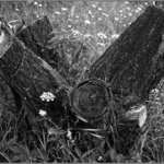 V Humpolci na zahrádce...........