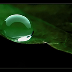 <b>SKLENĚNKA...</b> <hr> <b>