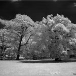 Park (IR)