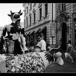 Bratislava, o ľuďoch a meste