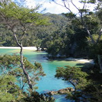 Abel Tasman