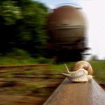 <font color=red>Hmmm....asi bych měl přidat:-)