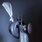 Portrét jednouchého králika