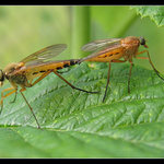 Už tě nechci ani vidět!