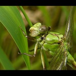 Tak na tobě si pochutnám....